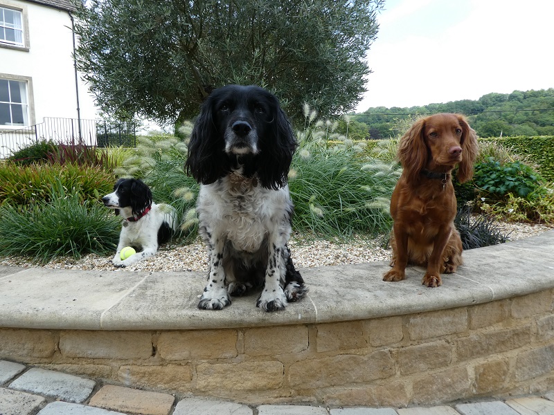 Nell, Lottie & Monty
