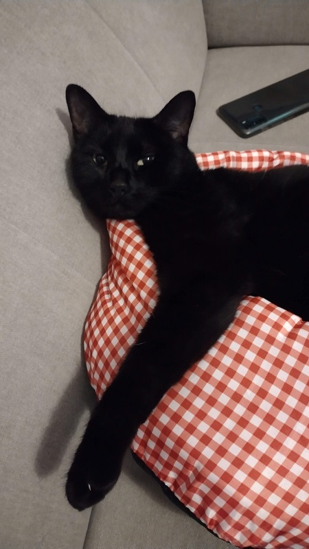 Dili in Gava Barcelona