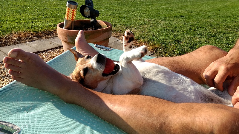 Callie on the sunbed