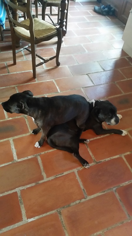 Sophie sitting on Spike