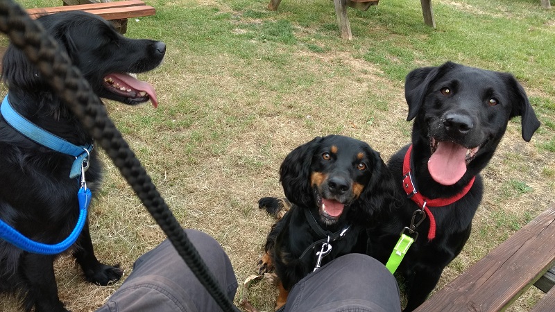 Poppy, Barnie and Bertie